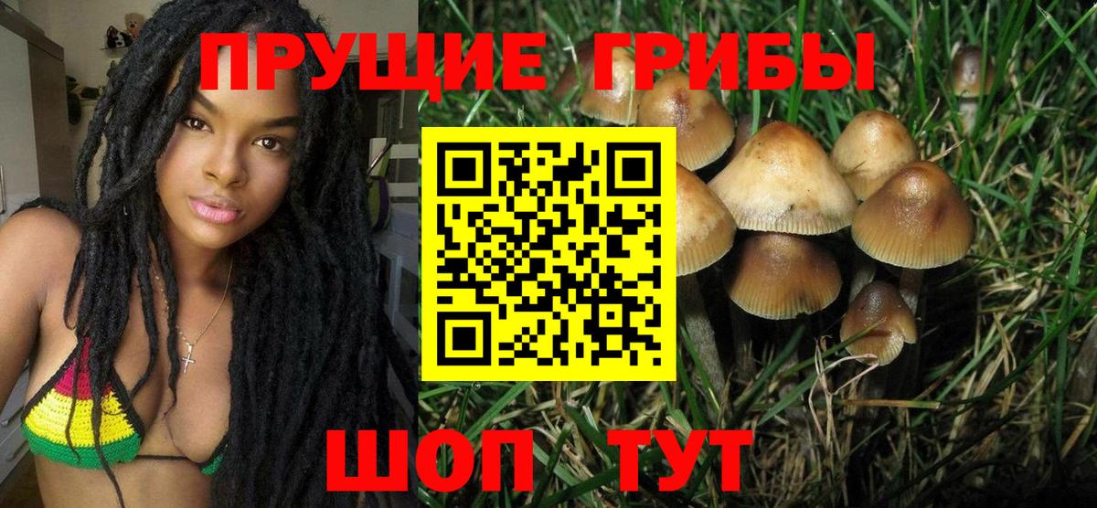 Псилоцибиновые грибы GOLDEN TEACHER Шебекино